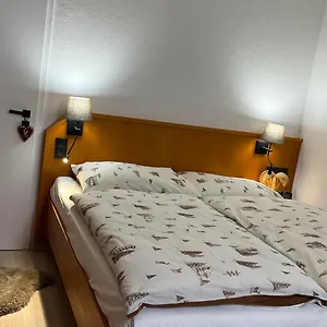 Winterwohnung Almberg , Mitterfirmiansreut Deutschland
